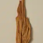 111220_AYUweb_044_900x