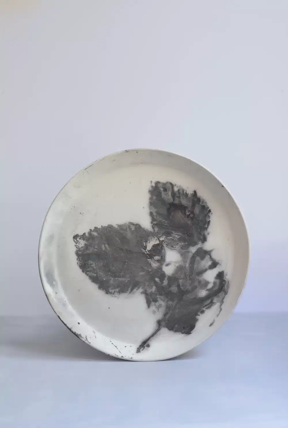 Dinner-Plate-2-Elisa-Bartels (1)