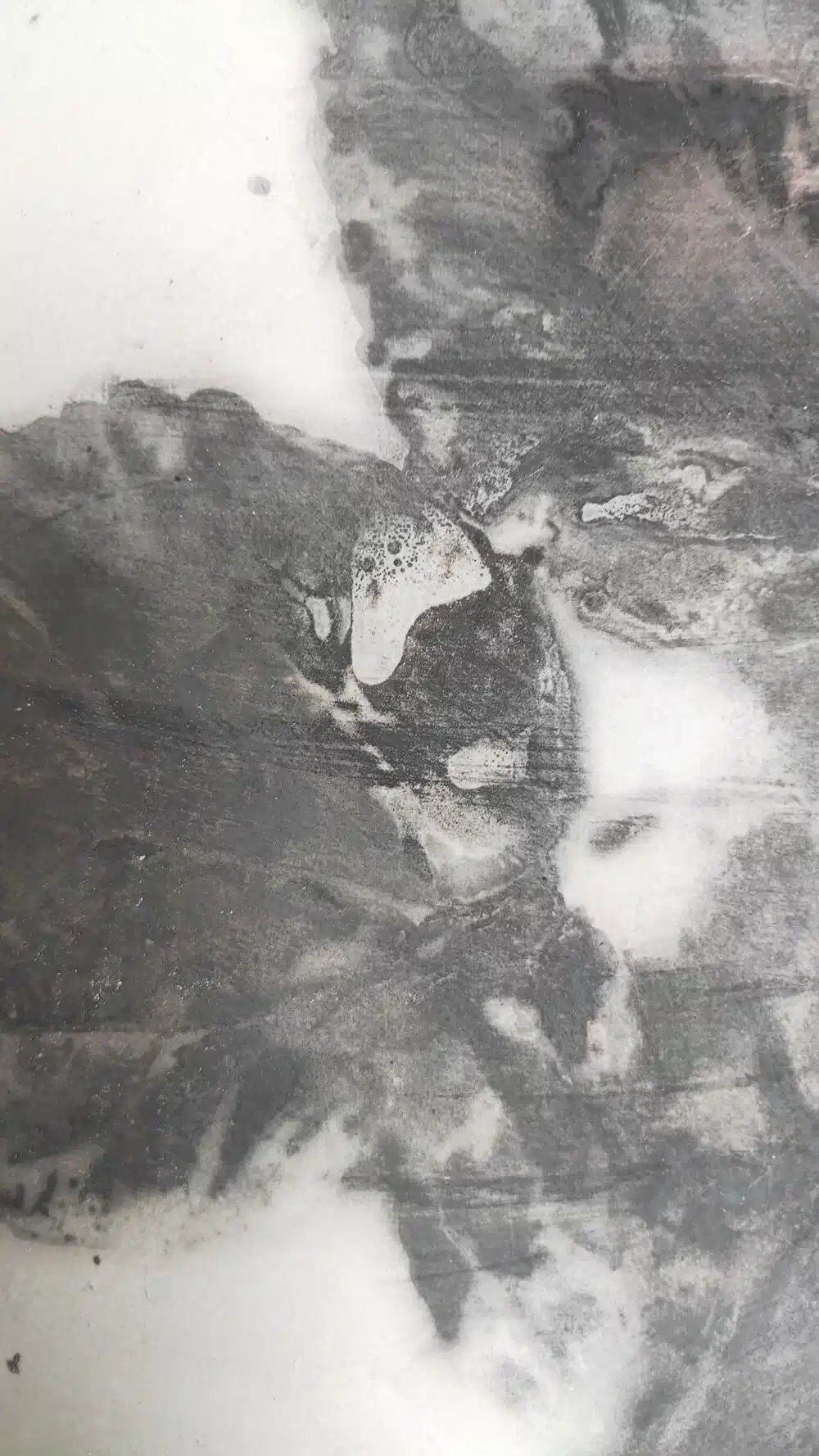 Dinner-Plate-Macro-2-Elisa-Bartels