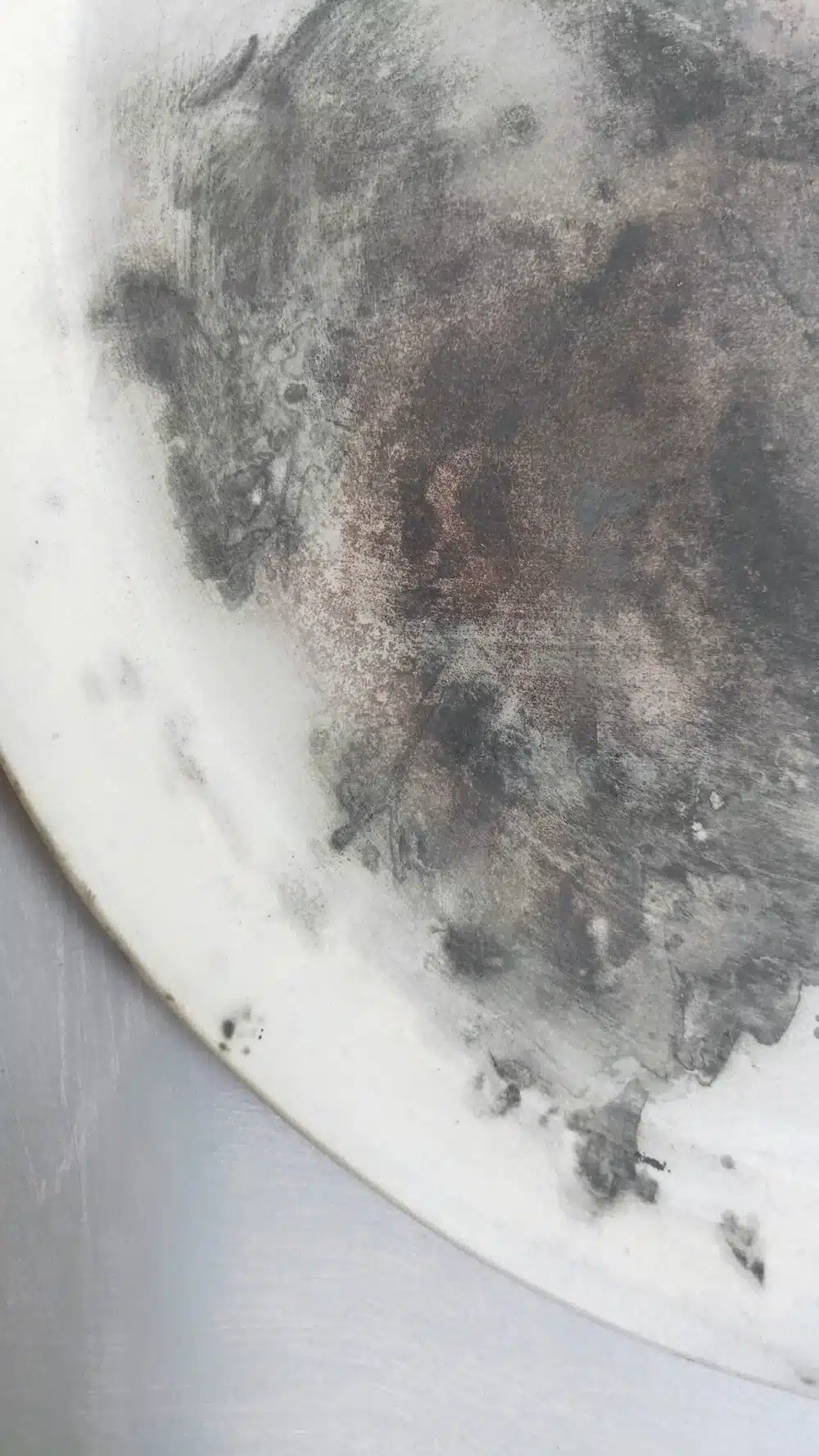 Dinner-Plate-Macro-4-Elisa-Bartels