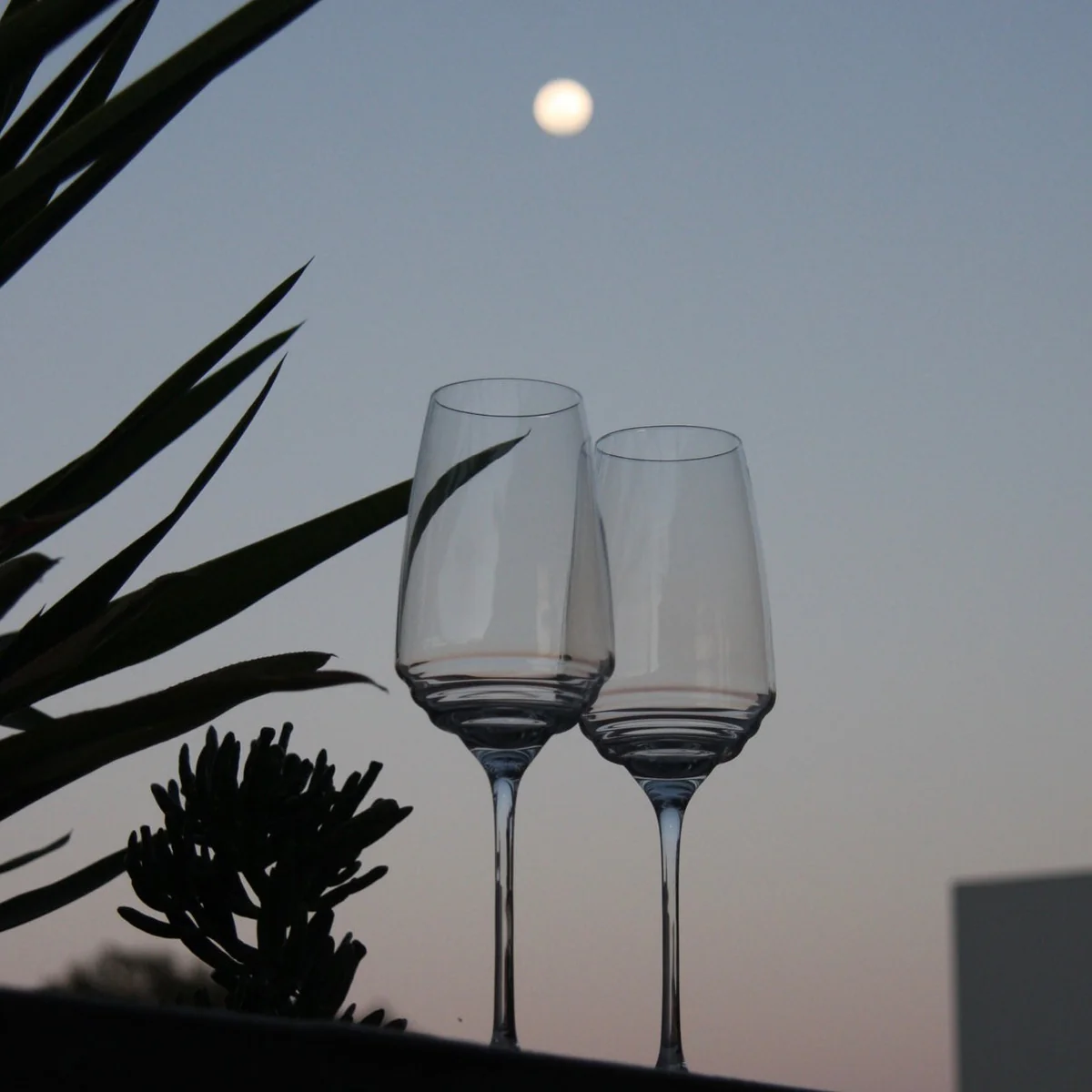 IMG_6981_1200x