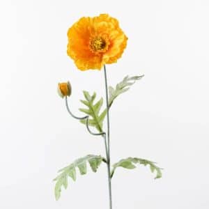 Poppy Iceland Spray