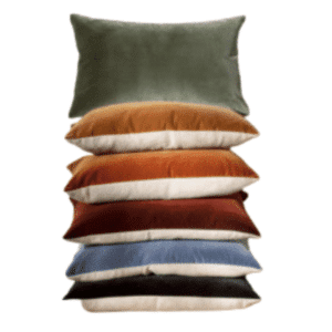 Etro Mini Cushion 30x50cm