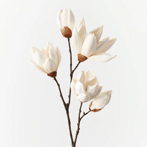 Magnolia Japanese Spray 66cm
