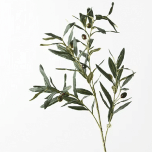 Olive Leaf Spray