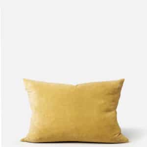 Velvet Cushion 60x40cm