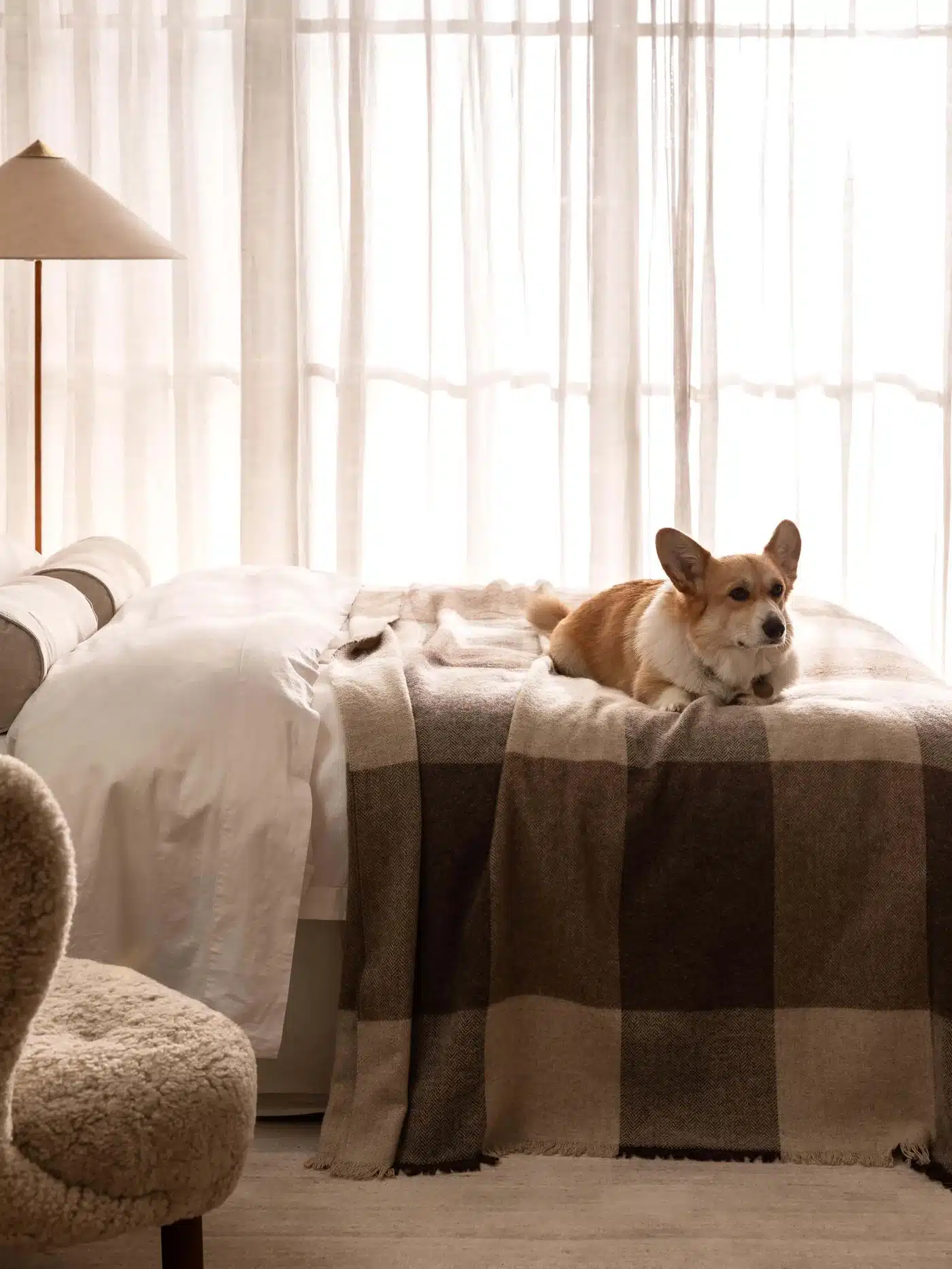 LMHome_AW24_Day37816_Gemmola