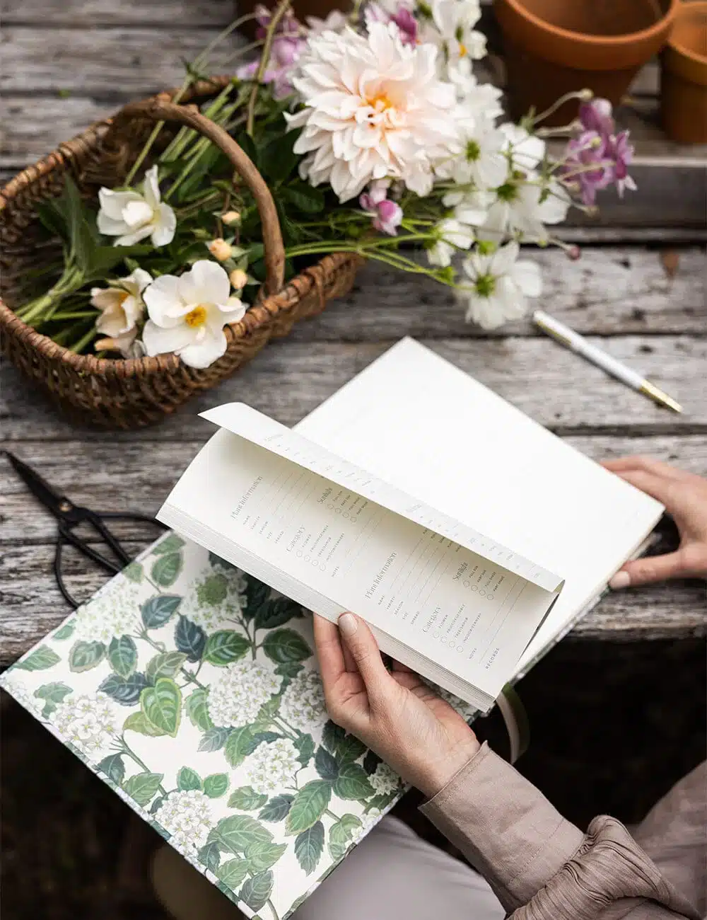 GA01_Gardening-Journal_Hydrangea_Web_6