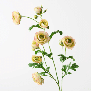 Ranunculus Spray
