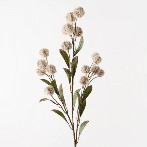 Thistle Spray