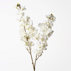 Blossom Cherry