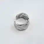 IMG_3345websilver2_1200x