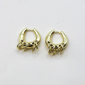 Pierced Hoop Earrings