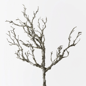 Twig Coral Branch