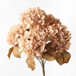 Hydrangea Bush 41cm