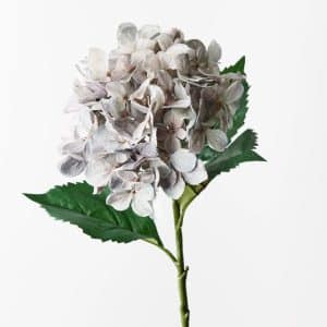 Hydrangea 64cm