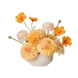 Cosmos Ranunculus Mix-Delos Arrangement