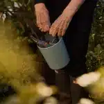 NXI0116SGR_3