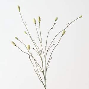 Burnet Spray