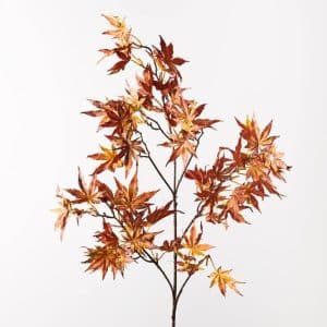 Japanese Maple Leaf Spray