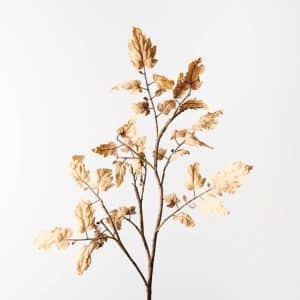 Perilla Leaf Spray