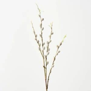 Pussy Willow Spray